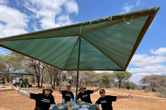 6 Days Essence of Tanzania Wildlife Safari - Accommodations and Amenities