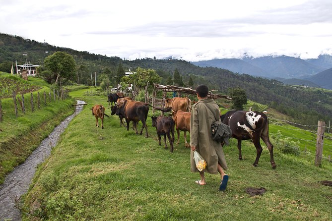 6 Days Explore the Hidden Kingdom of Bhutan - Booking Details