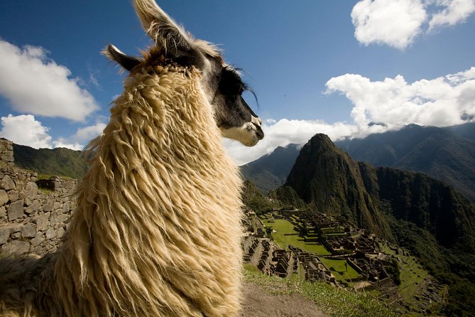 6 Days Exploring Cusco, Sacred Valley & Machu Picchu - Cusco and Sacred Valley Sightseeing