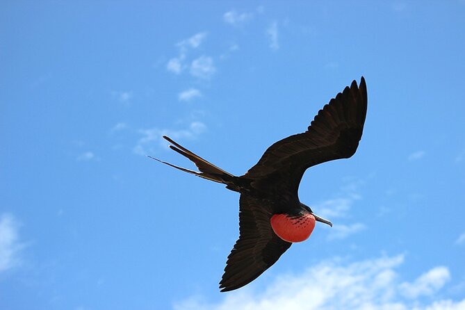 6 Days Galapagos Island Hopping - Discovering Floreana Island
