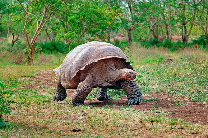 6 Days Galapagos Island Hopping - Visiting Bartolomé Island