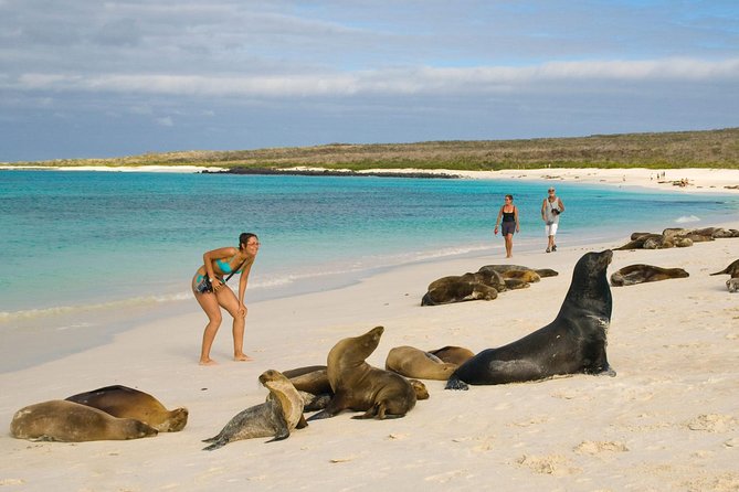 6 Days Galapagos Land Tour Starting in San Cristobal Island Including Santa Cruz - Exploring Santa Cruz Island