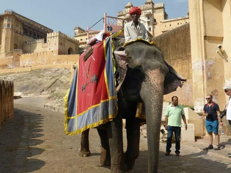 6 Days Golden Triangle Luxury India Tour From Delhi - Key Points