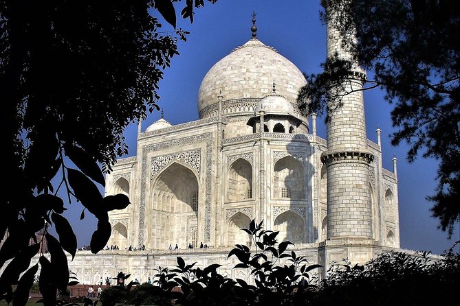6 Days Golden Triangle Tour With Pushkar From Delhi - Pushkar to Delhi