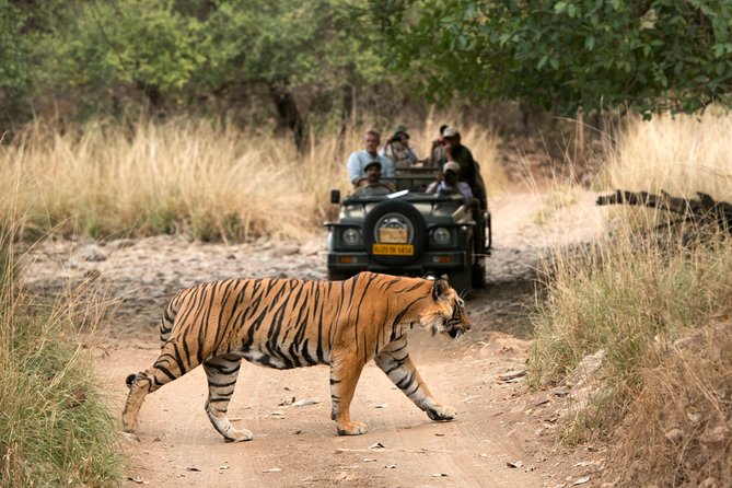 6 Days Golden Triangle Tour With Ranthambore: Delhi Agra Jaipur Ranthambore Tour - Discovering Agra