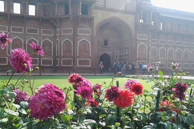 6 Days Golden Triangle Tour(Delhi Agra Jaipur Delhi Tour) - Accommodation and Meals