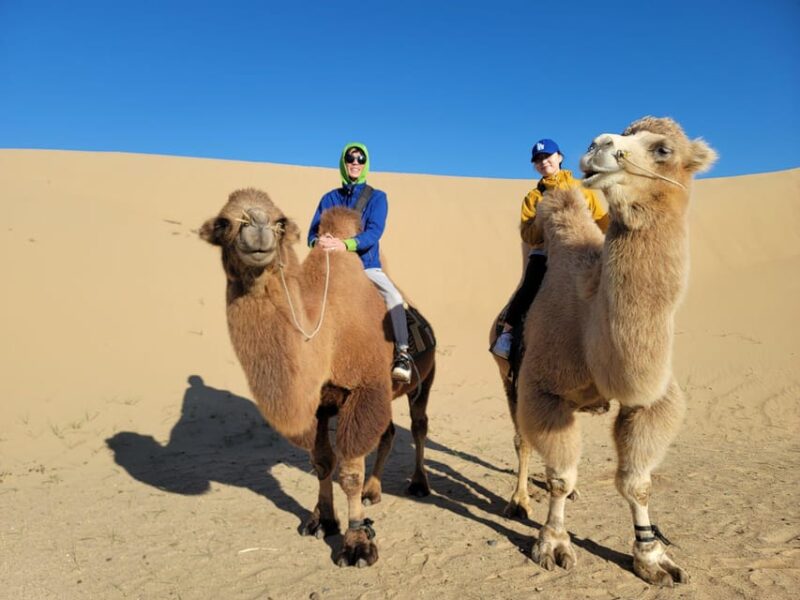 6 Days Great Gobi Tour-Amazing Memory - Key Points