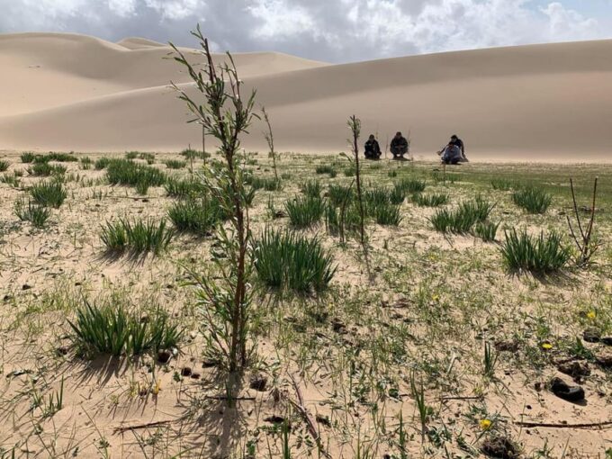6 Days Great Gobi Tour-Amazing Memory - Pickup and Drop-off