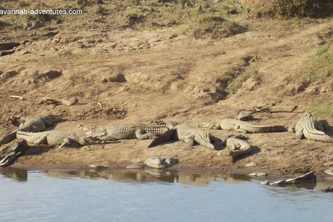 6 Days Guided Safari: Nairobi / Lake Nakuru / Lake Naivasha / Masai Mara N R - Reviews Summary