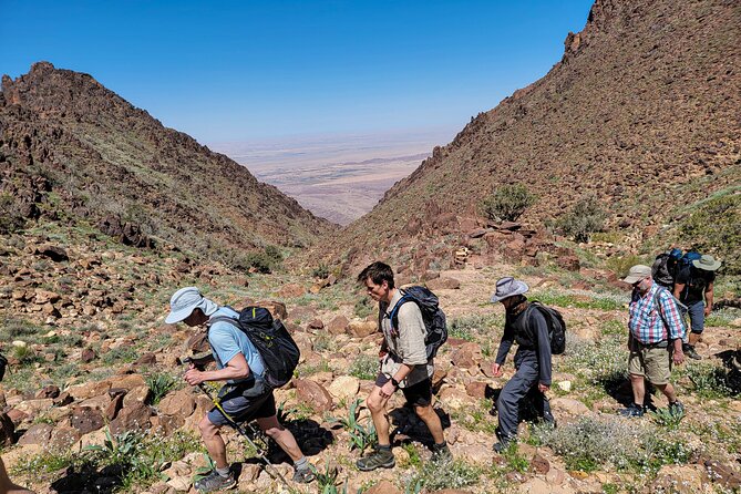 6 Days Guided Trek From Dana to Petra (Group) - Itinerary and Meals