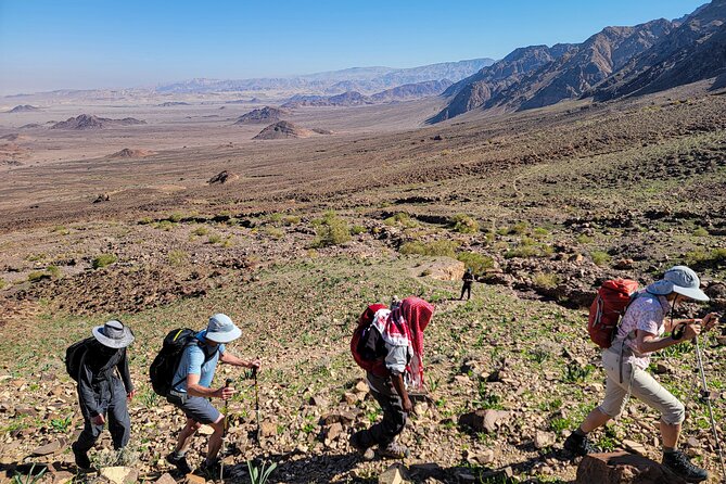 6 Days Guided Trek From Dana to Petra (Group) - Health and Accessibility