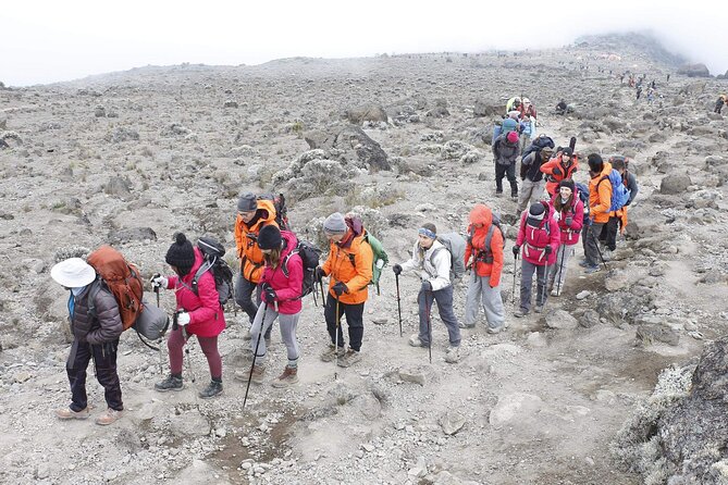 6 Days: Hiking Kilimanjaro via Machame Route - Experienced Mountain Guides