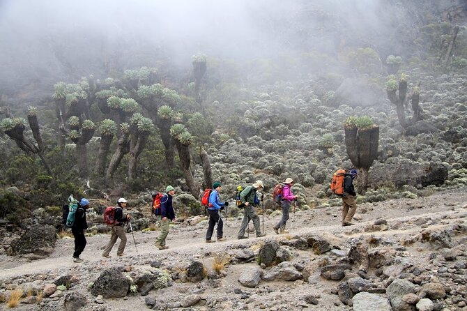 6 Days: Hiking Kilimanjaro via Machame Route - Meals and Hydration