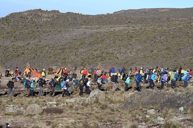 6 Days: Hiking Kilimanjaro via Machame Route - Airport and Visa Assistance