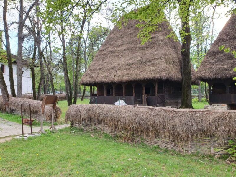 6 Days in Romania - Private Tour - Languages and Group Information
