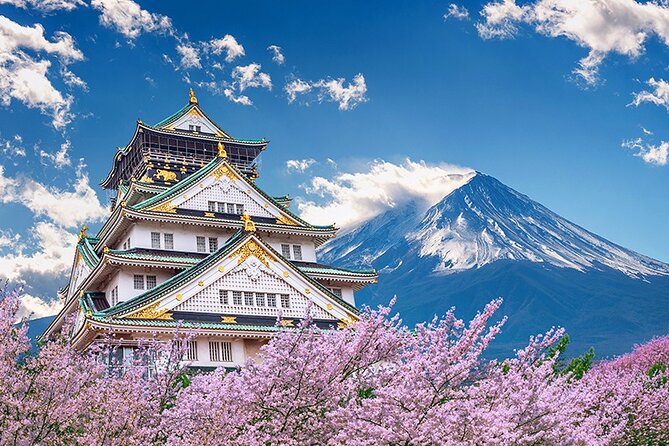6 Days Japan Kanto, Kansai Deluxe Tour - Excluded Expenses