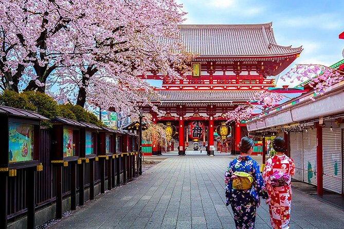 6 Days Japan Kanto, Kansai Deluxe Tour - Tour Schedule