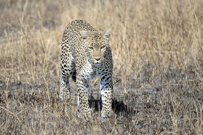 6 Days Joining Group Safari to Tarangire,Serengeti,Ngorongoro & Manyara Tanzania - Transportation Arrangements
