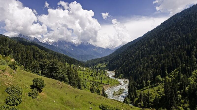 6 Days Kashmir Tour With Gulmarg, Pahalgam and Sonamarg - Itinerary Highlights