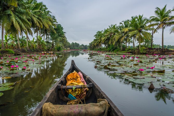 6 Days Kerala Honeymoon Tour - Capture Memorable Moments
