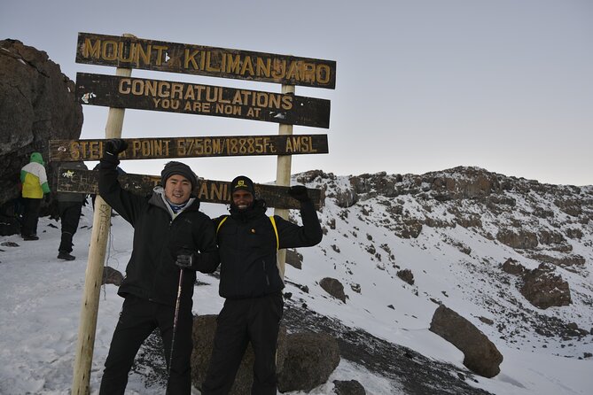 6 Days Kilimanjaro Hiking | Climbing Kilimanjaro by Lemosho Route - Lemosho Route Highlights