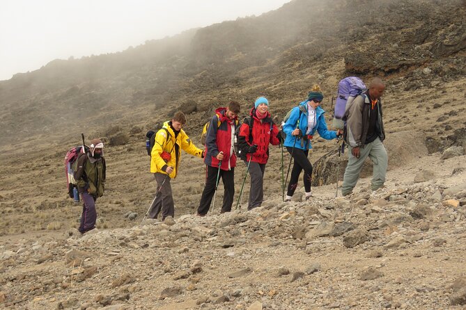 6 Days Kilimanjaro Hiking | Climbing Kilimanjaro by Lemosho Route - Traveler Reviews and Ratings