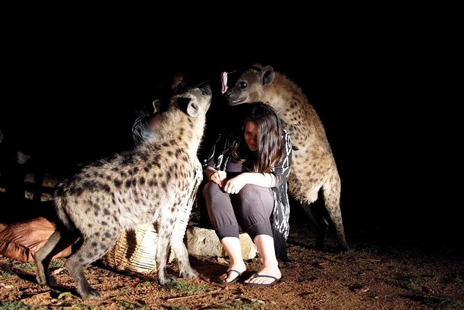 6 Days Lalibela, Omo Valley and Harar - Tour Reviews and Ratings