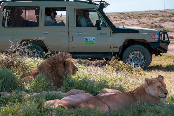 6 Days Lodge & Tented Camp Luxury - The Serengeti Trail & Tarangire - Schedule