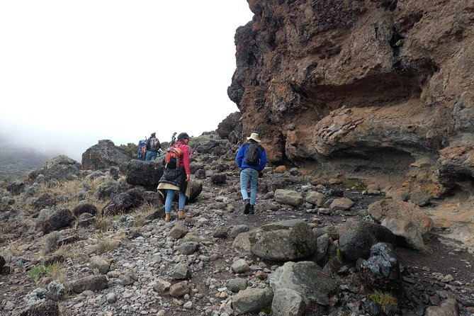 6 Days Machame Route Climbing Mt.Kilimanjaro - Pricing and Reviews