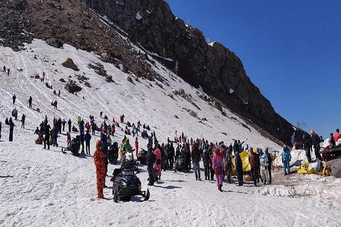 6-Days Manali, Kullu and Shimla Private Tour From Chandigarh - Accommodation and Meals