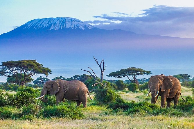 6 Days Masai Mara, Lake Nakuru & Amboseli Ultimate Kenyan Safari - Explore the Masai Mara National Reserve