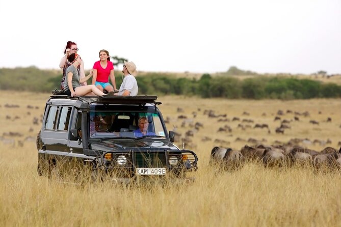 6-Days Masai Mara, Lake Nakuru and Amboseli Safari on Landcruiser - Wildlife Viewing