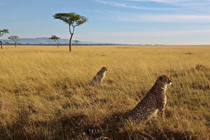 6-Days Masai Mara, Lake Nakuru and Amboseli Safari on Landcruiser - Cancellation Policy