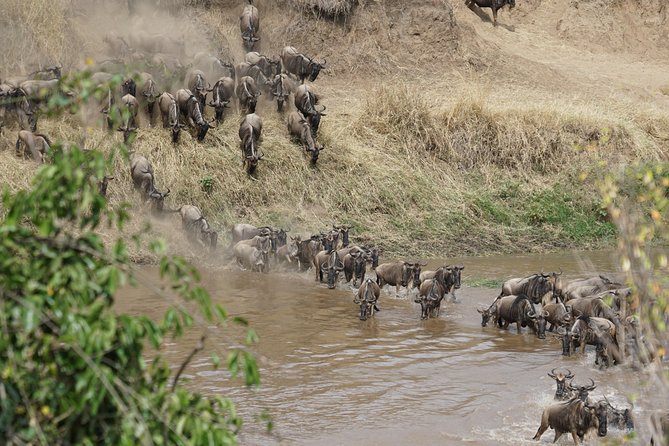 6 Days Migration Crossing in Mara River Northern Serengeti - Itinerary and Departure Information