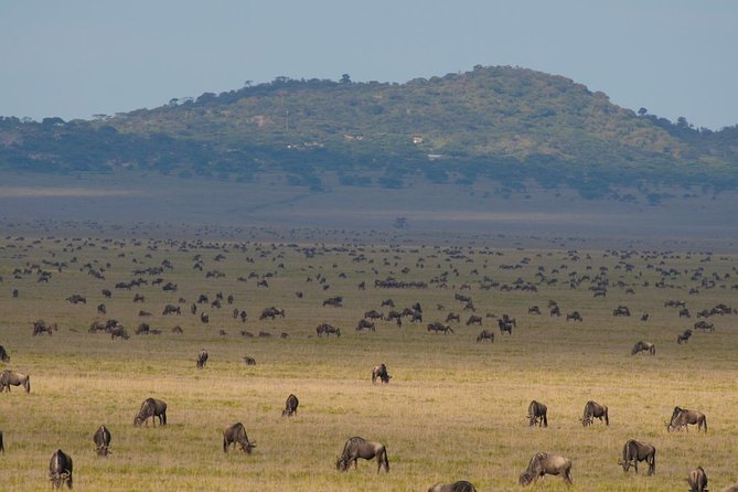 6 Days Migration Crossing in Mara River Northern Serengeti - Preparing for the Adventure