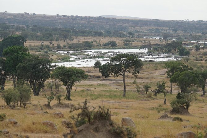 6 Days Migration Crossing in Mara River Northern Serengeti - Booking and Cancellation Policies