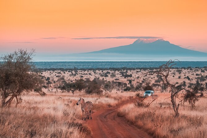 6 Days Mount Kilimanjaro Climbing via Rongai Route - Key Points