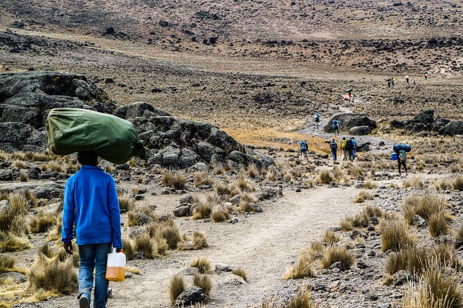 6 Days Mount Kilimanjaro Climbing via Rongai Route - Health and Safety Precautions