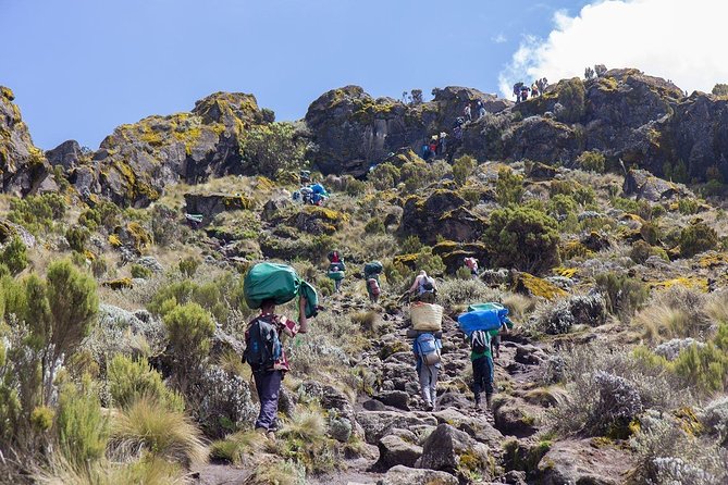 6 Days Mount Kilimanjaro Trek Marangu Route - Duration and Route