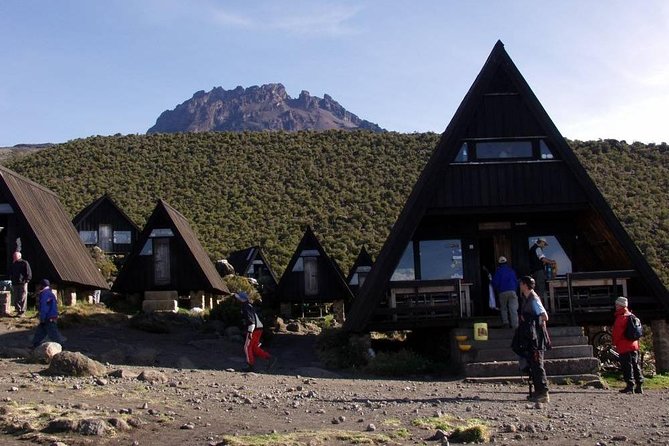 6 Days Mount Kilimanjaro Trek Marangu Route - Reviews and Ratings