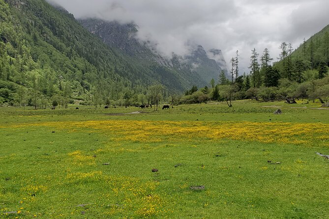 6 Days Mt.Siguniang Dafeng Erfeng Climbing - Inclusions and Amenities