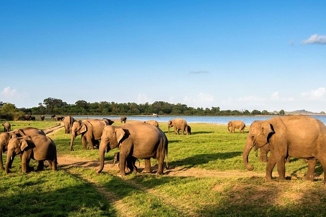 6 Days Nature And Culture Tour - Inclusions and Exclusions