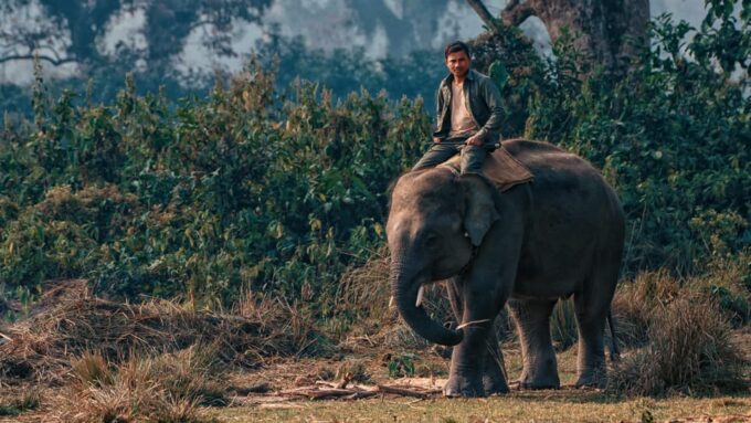 6 Days Nepal Tour With Chitwan National Park - Frequently Asked Questions