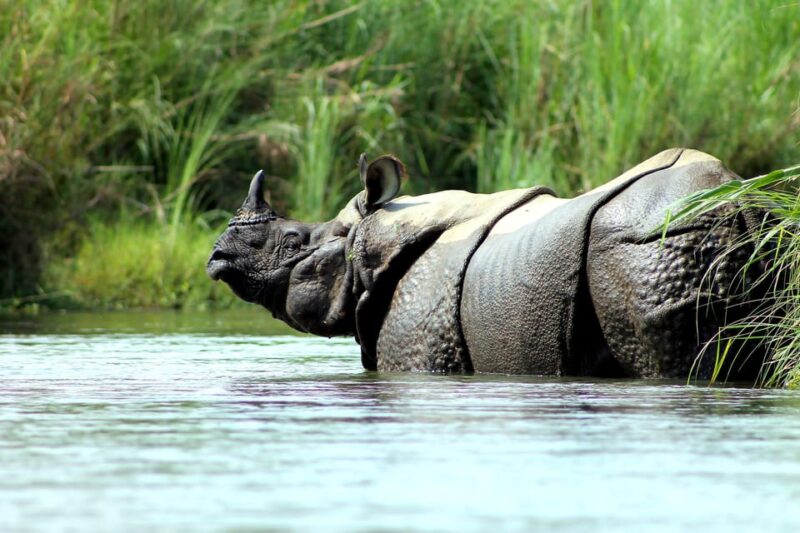6 Days Nepal Tour With Chitwan National Park - Key Points