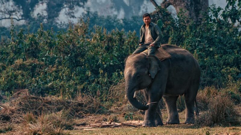 6 Days Nepal Tour With Chitwan National Park - Day 2: Chitwan