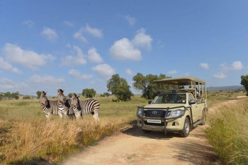 6 Days of The Best of Johannesburg Experience - Lesedi Cultural Village Experience