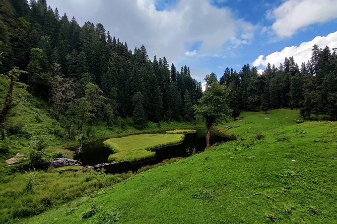 6 Days Phulara Ridge Trek - Included Services
