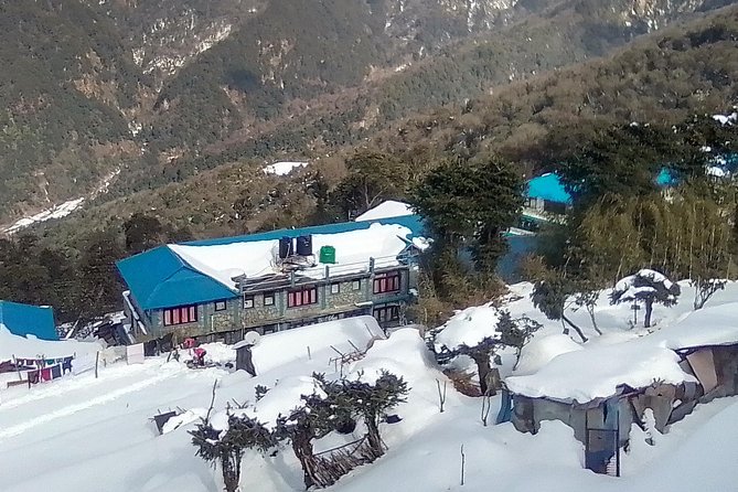 6 Days Poon Hill - Ghandruk Circuit Trek From Kathmandu - Tadapani to Ghandruk