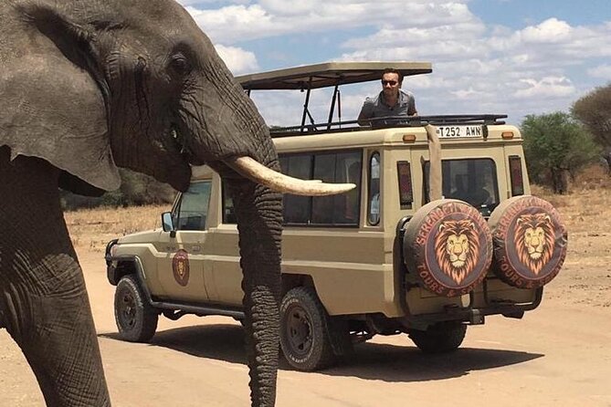 6 Days Private Budget Safari - Pickup and Transportation