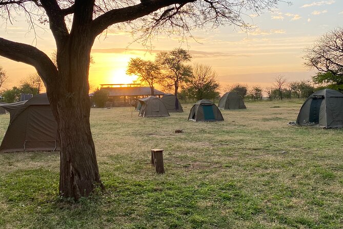 6 Days Private Budget Safari - Booking and Cancellation